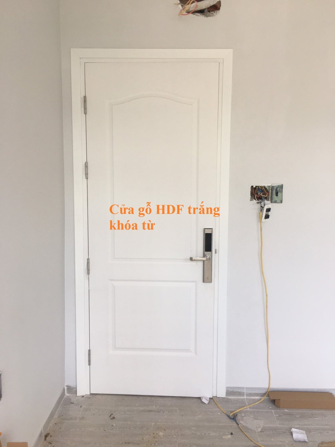 292797699 998475820850143 8870616624783286411 n