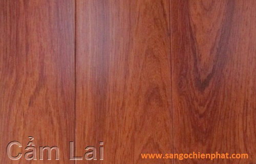 Sàn gỗ Cẩm Lai
