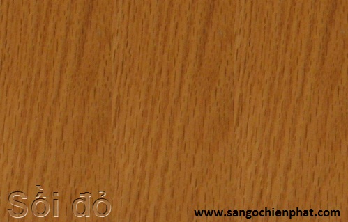 Sàn gỗ Sồi Đỏ